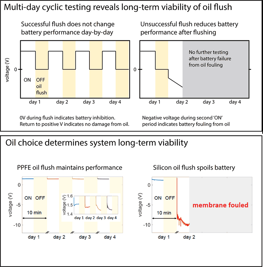 Example of explaining data